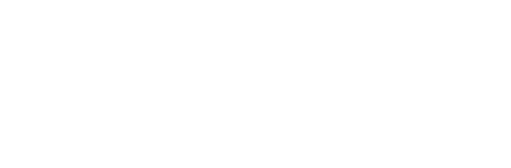 Logo de AUREON Private Investment Hub